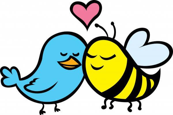 bee and bird in love